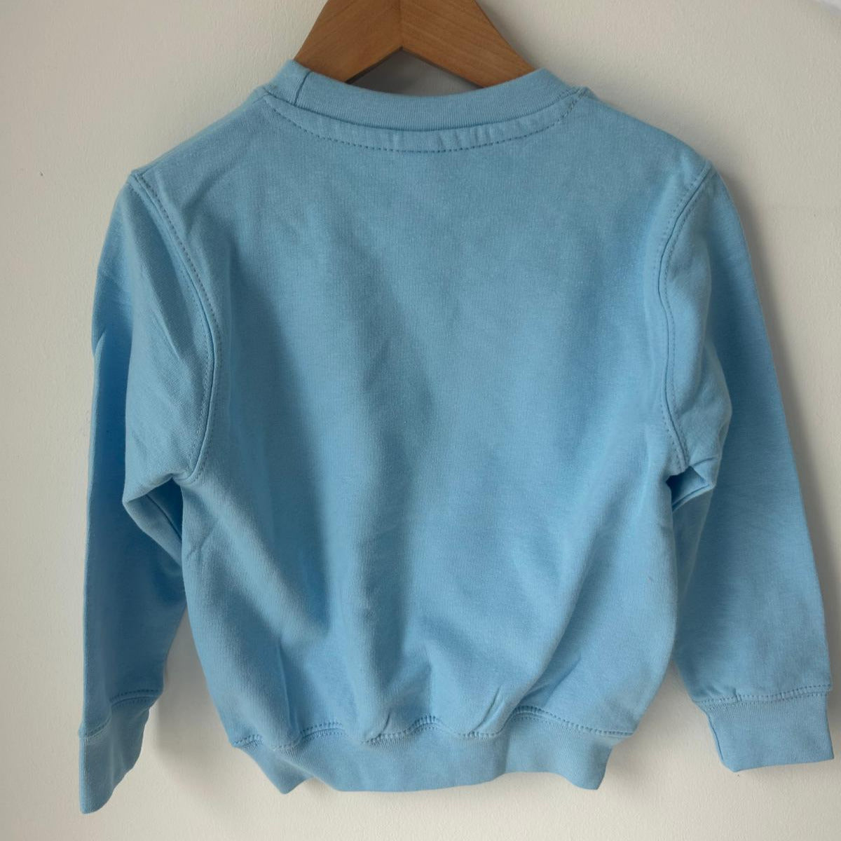 Personalised Teddy Bear Kids Jumper