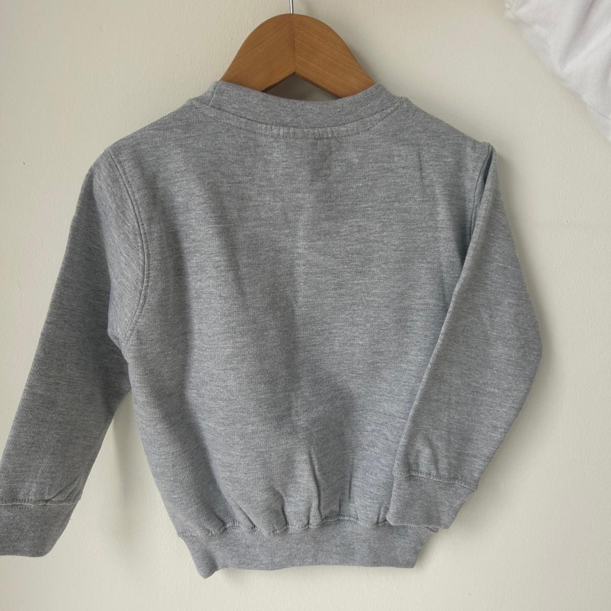 Personalised Animal Train Kids Jumper